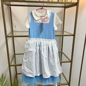 Belle inspired Taylor Joelle dress